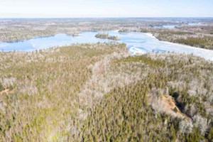 porcupine lake land kaufen in kanada