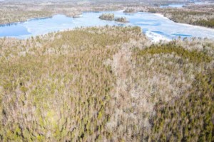 porcupine lake land kaufen in kanada