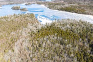 porcupine lake land kaufen in kanada