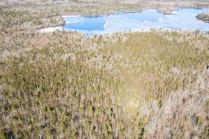 porcupine lake land kaufen in kanada