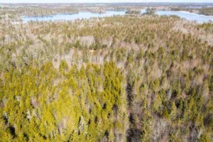 porcupine lake land kaufen in kanada