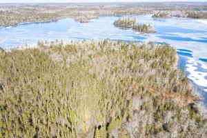 porcupine lake land kaufen in kanada