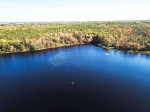 Porcupine Lake Land kaufen in Kanada