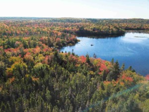 Porcupine Lake Land kaufen in Kanada