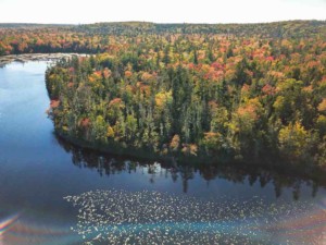 Porcupine Lake Land kaufen in Kanada