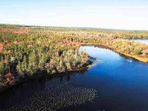 Porcupine Lake Land kaufen in Kanada