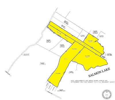 Salmon Lake Plan